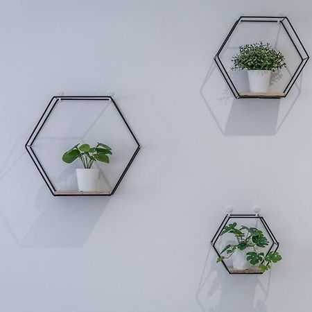Appartamento Sotto Le Due Torri 5* Bologna Esterno foto